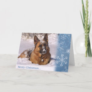 Härlig tysk herdehund i snö helgkort