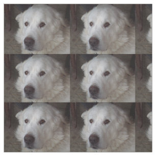 Härlig underbara Pyrenees hund Tyg