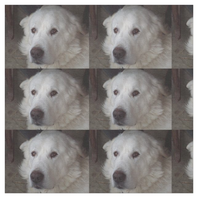Härlig underbara Pyrenees hund Tyg (Provkarta)
