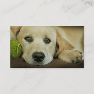 Härlig valpvisitkort visitkort