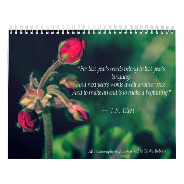 Härlig variationsfotografikalender 2018 kalender (Omslag)