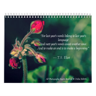 Härlig variationsfotografikalender 2018 kalender