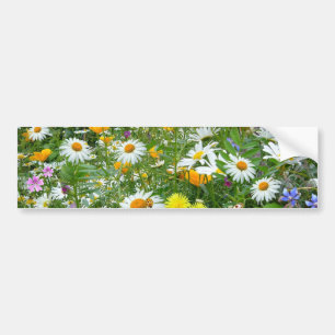 Härlig vildblomma- och fjärilsäng bildekal