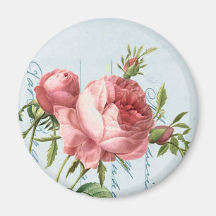 Härlig vintage steg magnet