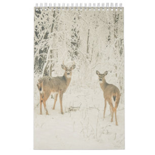 Härlig vit Tailed hjort Kalender