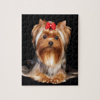 Härlig Yorkshire Terrier Pussel