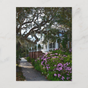 Härliga Beaufort, South Carolina Vykort