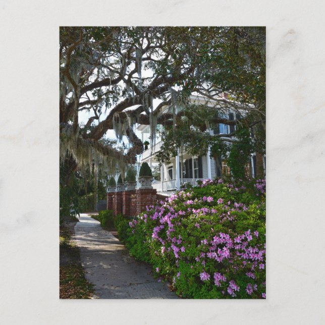 Härliga Beaufort, South Carolina Vykort (Framsida)