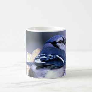 Härliga blått Jay Kaffemugg