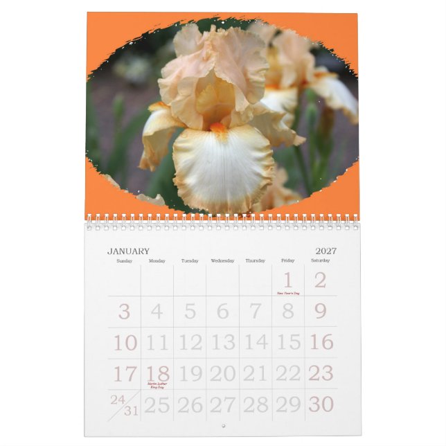 Härliga blommor allt år Long Kalender (Jan 2027)