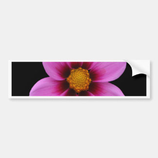 Härliga blommor bildekal