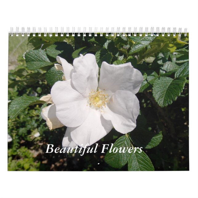 Härliga blommor kalender (Omslag)