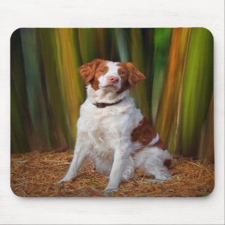 Härliga Brittany Mousepad Musmatta