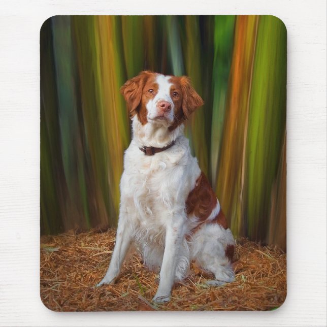 Härliga Brittany Mousepad Musmatta (Framsidan)