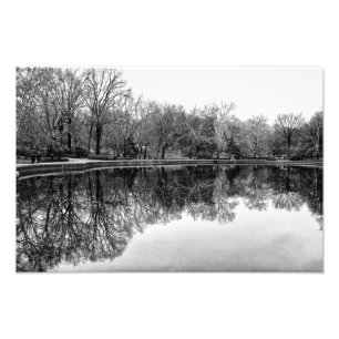 Härliga Central Park landskap i svart & vit Fototryck
