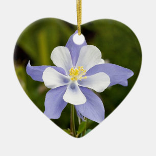Härliga Columbine Julgransprydnad Keramik