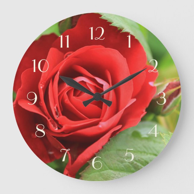 Härliga den ljusa röd rosblommablommigten numrerar stor klocka (Framsida)