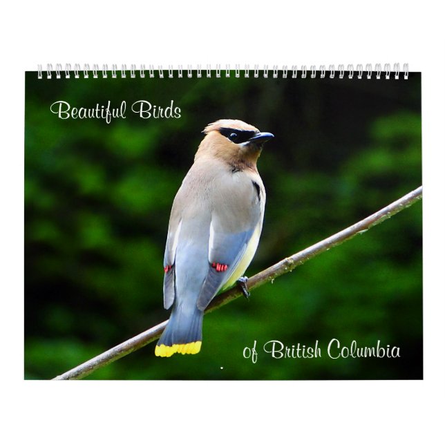 Härliga fåglar, av British Columbia Kalender (Omslag)