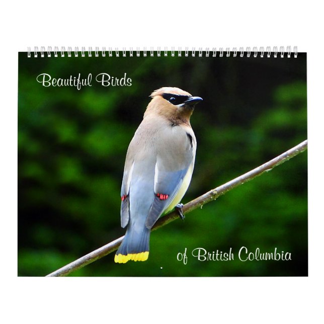 Härliga fåglar av British Columbia Kalender (Omslag)
