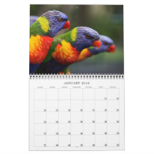 Härliga fåglar kalender