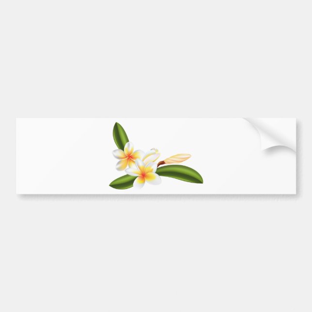 Härliga frangipani- eller plumeriablommor bildekal (Framsidan)