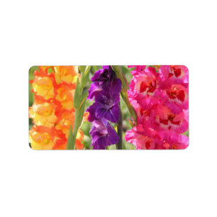 Härliga Gladiolusblom Adressetikett