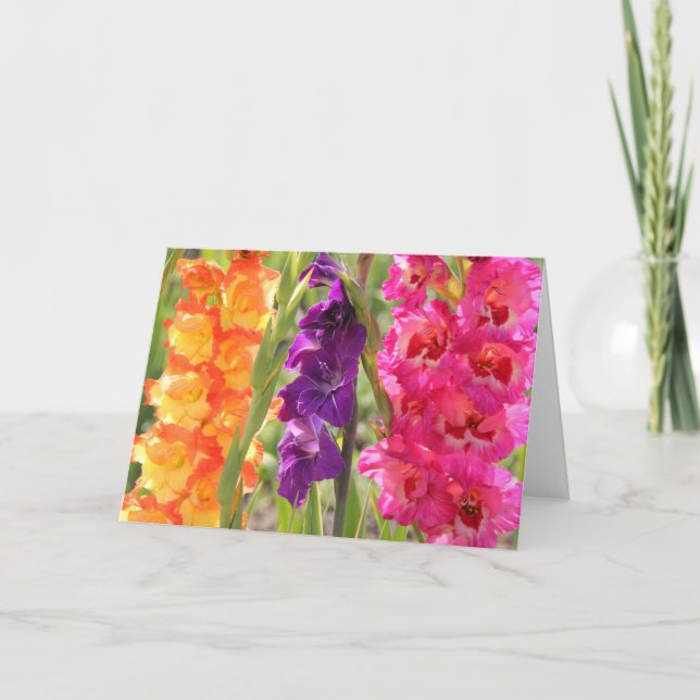 Härliga Gladiolusblom Kort (Framsida)