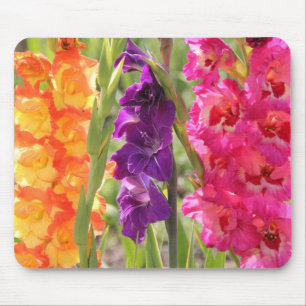 Härliga Gladiolusblom Musmatta