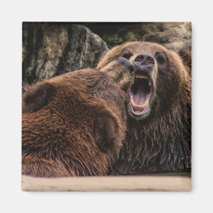 Härliga Grizzlybjörnar Magnet