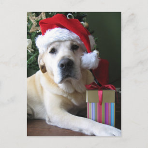 Härliga gula Labrador Santa Helg Vykort