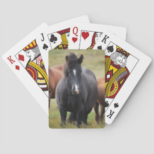 Härliga hästar casinokort