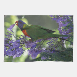 härliga Lorikeet Kökshandduk