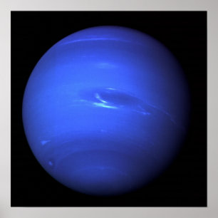 Härliga Neptune Poster