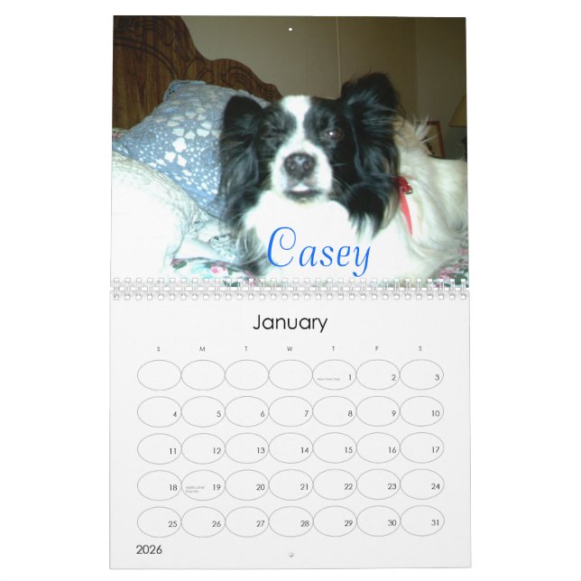 Härliga Papillons, 2007 Kalender (Jan 2026)