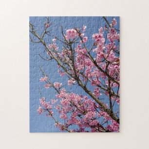 Härliga rosa körsbärblommar och blå himmel pussel