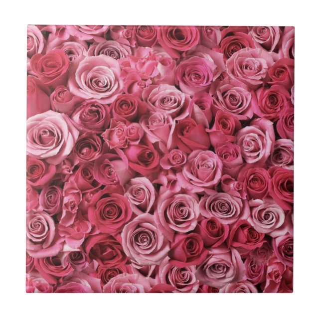 Härliga rosa ros kakelplatta (Framsidan)