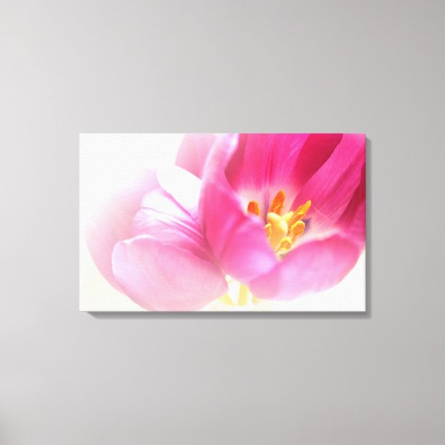 HÄRLIGA ROSA TULPAN CANVASTRYCK (Framsida)