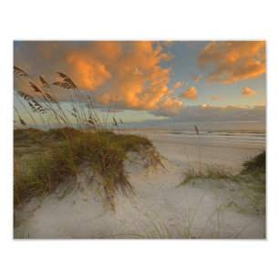 Härliga Sanddyner i Daytona Beach, FL Fototryck