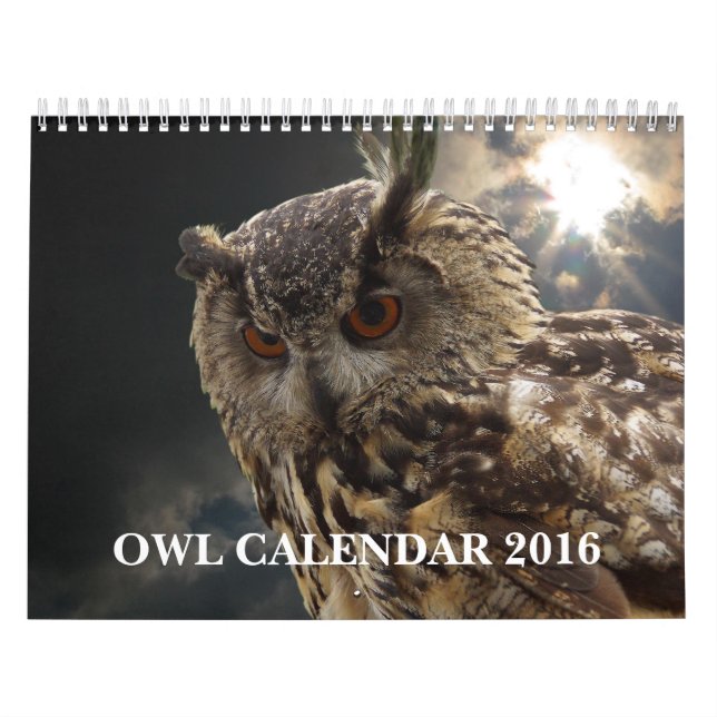 Härliga ugglabilder och bilder 2016 kalender (Omslag)