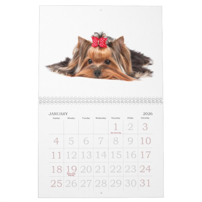 Härliga Yorkshire Terriers Kalender (Jan 2026)