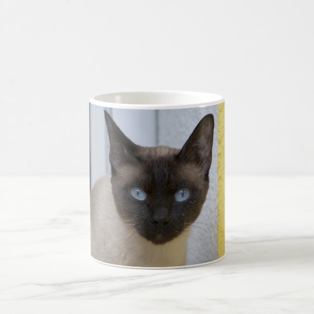Härligt försegla pekar den Siamese katten Kaffemugg (Center)