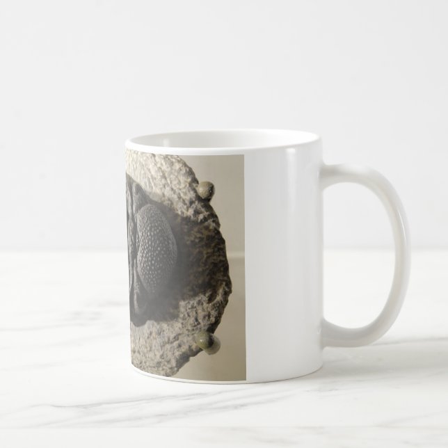 Härligt foto för Phacops trilobitefossil Kaffemugg (Höger)