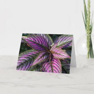 Härligt hälsningkort kort