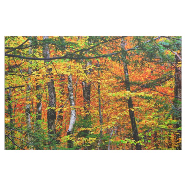 Härligt höst färger i tyg (Yard)