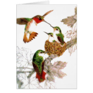 Härligt Hummingbirdsfoto Hälsningskort