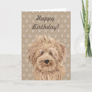 Härligt kort för födelsedag för Labradoodle