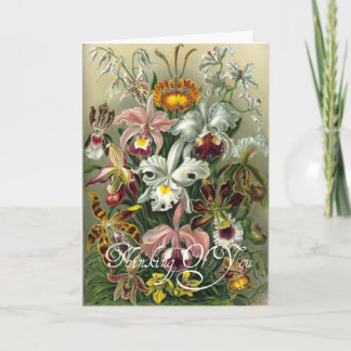 Härligt kort för hälsning för vintageblommadesign