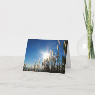 Härligt morgongräs Notecard Kort