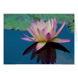 Härligt näckrosblommigtfoto hälsningskort