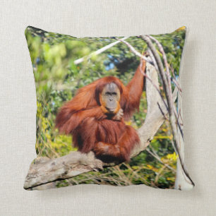Härligt Orangutanfoto Kudde